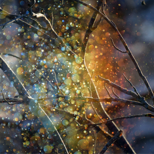 Peacemakers Network Christmas 2023: Director’s Reflection